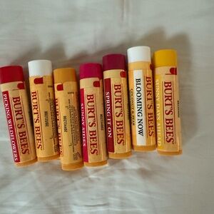Burt’s bee lip balm bundle